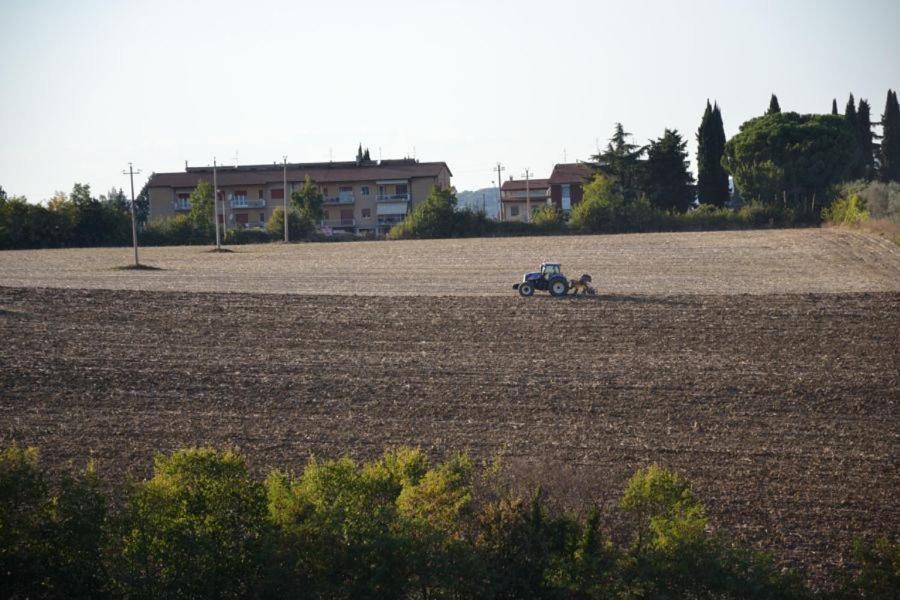 Perugia Farmhouse Βίλα Εξωτερικό φωτογραφία