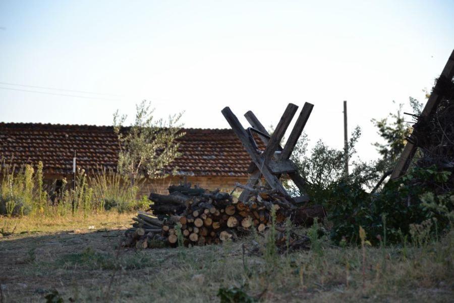 Perugia Farmhouse Βίλα Εξωτερικό φωτογραφία